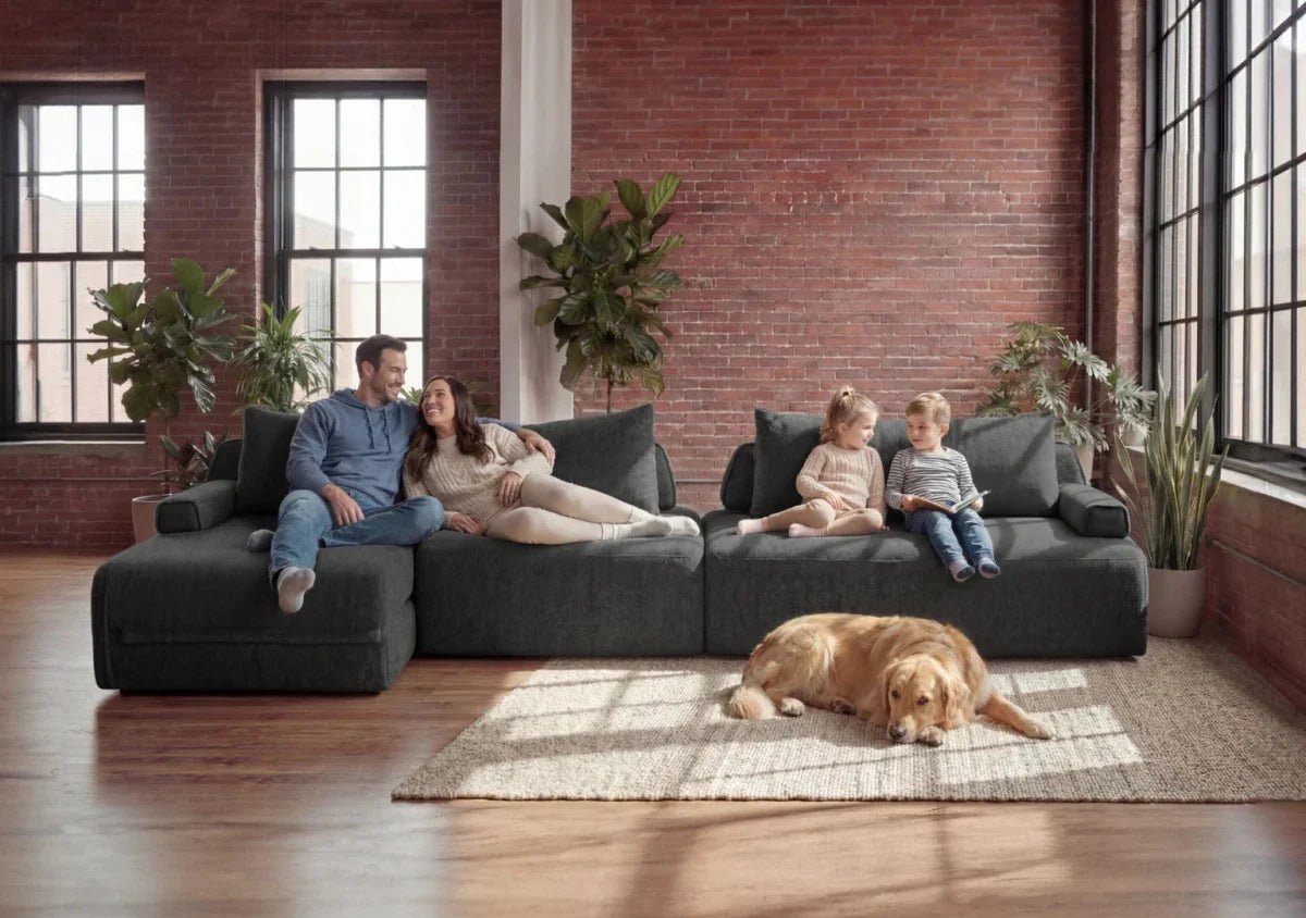 Sleeper Sofa With Chaise Guide - Cushie